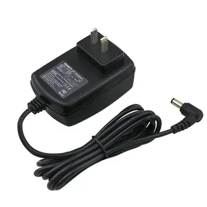 Cabo de alimentação universal Carregador de parede compatível com 2A USB-HUB OEM 5V 3A Carregador de parede para luz LED Pixel