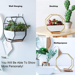 <span class=keywords><strong>Maceta</strong></span> Moderna de Pared de 6.89 Pulgadas, Tipo Contenedor, Independiente, para Suculentas, Florero Geométrico <span class=keywords><strong>Octagonal</strong></span> para Cactus y Flores - Product Image 3