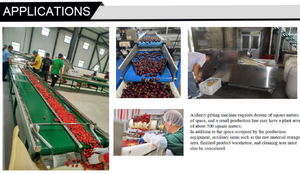 Vente directe d'usine, machine à dénoyaouter les olives automatique multifonctionnelle pour la vente en gros - Product Image 6