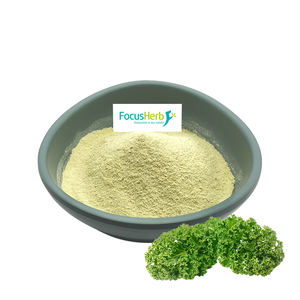 Focusherb ผงคะน้าบริสุทธิ์สกัดจากผักคะน้าออร์แกนิก - Product Image 2