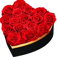 Lot de 16 roses éternelles en boîte cœur avec collier, roses rouges pour la fête des Mères, anniversaire, Noël, Saint-Valentin