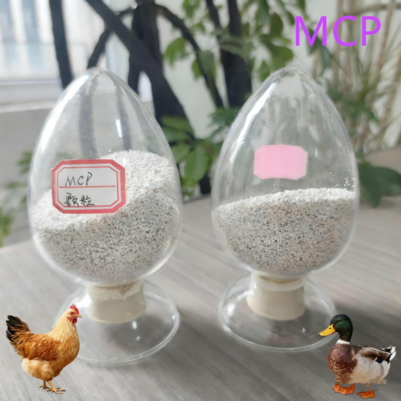 MCP Provides Rapid Phosphorus Supplementation Is