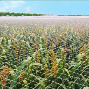 Chất Lượng Cao Nylon Knot Chim Không Thấm Net Ngăn Chặn Pecking Tại Cây Trái Cây Và Thực vật Thủy sản Chim Không Thấm Net Cho Nông Nghiệp - Product Image 3