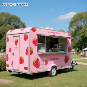 OEM Outdoor Container Catering Food Truck Trailer for Sale in USA - Product Image 6