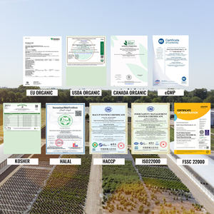 Caffè Istantaneo al Fungo Reishi Ganoderma con Estratto di Lions Mane a Marchio Privato OEM - Product Image 2