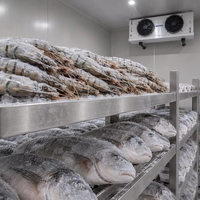 Équipement de chambre froide et chambre réfrigérée durables de haute qualité pour la conservation au froid – Grand projet de stockage préfabriqué pour congélateurs alimentaires