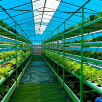 Serre commerciale à grande portée en film plastique avec structure en acier galvanisé stabilisé aux UV pour la culture de légumes et de fleurs