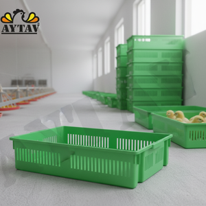 New AYTAV Chick Transport Box 1 Compartment PP Material 100 Chick Capacity Poultry Farm Use Long Service Life 1 Year Warranty - Product Image 3