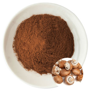 प्राकृतिक 10:1 20:1 शीटकेक मशरूम निकालने का पाउडर - Product Image 1