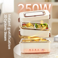 Boîte à lunch électrique à double couche en acier inoxydable 304, à brancher, compartimentée