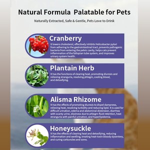 Suplemento Nutricional Masticable para Perros y Gatos, Marca Privada Personalizada, Regula el Metabolismo, Apoya la Función Renal, Salud Urinaria Diaria - Product Image 6
