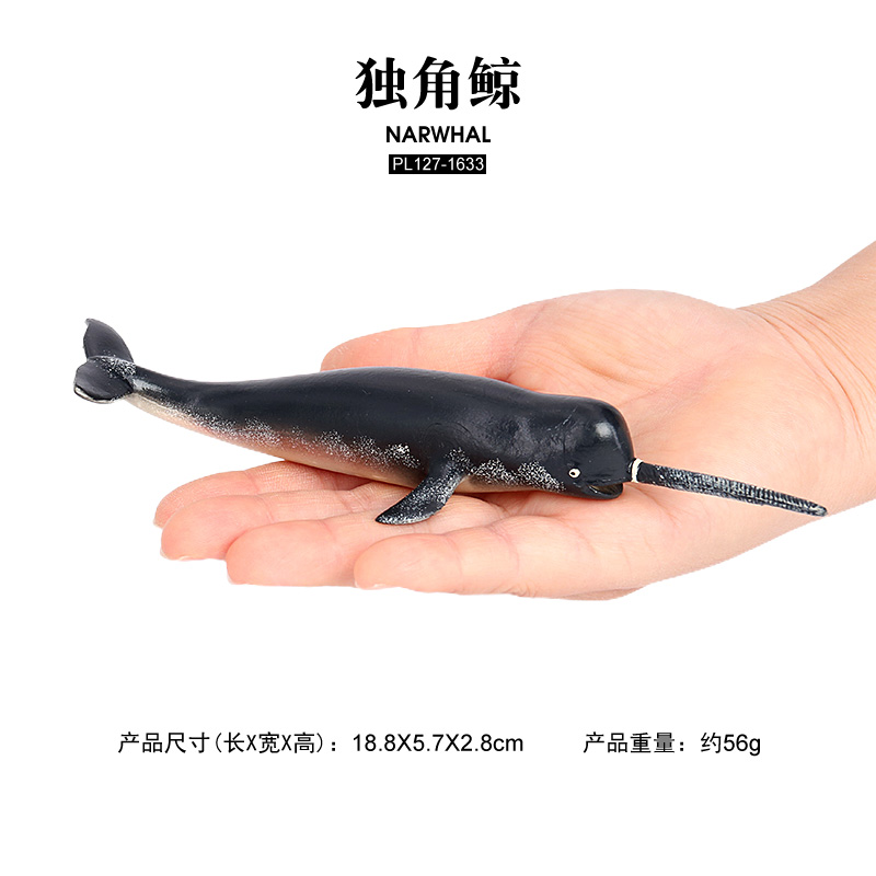 1633 นาร์วาล