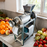 Fruitextractpers Spirale Sapcentrifuge Wortel Gember Citroenpers Machine 220V Motor Hoge Productiviteit