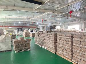 <span class=keywords><strong>2025</strong></span> giá thấp dinh dưỡng màu sắc ban đầu Quả Óc Chó 33 hạt 025 bán buôn Hữu Cơ Óc Chó Giá Trung Quốc - Product Image 2