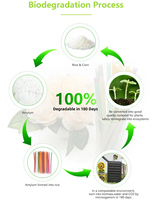 Fécule de maïs biodégradable paille de riz compostable écologique jetable paille comestible Boba Smoothie thé à bulles thé au lait