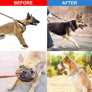 <span class=keywords><strong>Collar</strong></span> de pellizco de perro personalizado con cubierta de nailon con hebilla de liberación rápida - Product Image 5