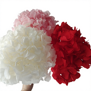 Hortensias de Hoja Grande Preservadas de Alta Calidad al por Mayor, Estilo Ins, para Suministros de Floristería - Product Image 1