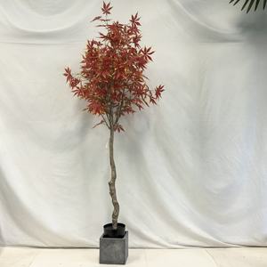 Naturel-comme extérieur chinois érable bonsaï arbre automne couleurs paysage artificiel plante en vente <span class=keywords><strong>pour</strong></span> la décoration de bureau - Product Image 3