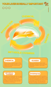 Beste Natuurlijke Leversupplementen <span class=keywords><strong>Propolis</strong></span> Softgel <span class=keywords><strong>Capsules</strong></span> Private Label Immuunsysteem Booster Voor Volwassenen - Product Image 4