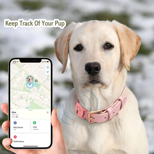 Nibao Custom Kleuren Verstelbare Zacht Gewatteerde Lederen Halsband Heavy Duty Metalen Gesp Hond Halsband - Product Image 4