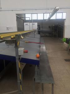Ligne Unitec 1 pour l'avocat en Italie Ligne de classement des fruits d'occasion Machine de tri de qualité Machine haute performance Ligne de production - Product Image 3