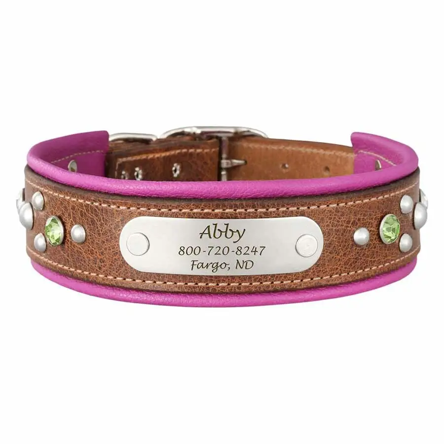 Hot sale Aurora Artisan Padded Leather Dog Collar with Nameplate