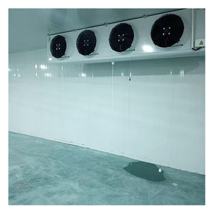 Almacén <span class=keywords><strong>de</strong></span> almacenamiento en frío grande <span class=keywords><strong>de</strong></span> exportación <span class=keywords><strong>de</strong></span> China, cámara fría <span class=keywords><strong>de</strong></span> <span class=keywords><strong>alimentos</strong></span>, 3000 metros cúbicos, almacenamiento <span class=keywords><strong>de</strong></span> carne a baja temperatura - Product Image 5