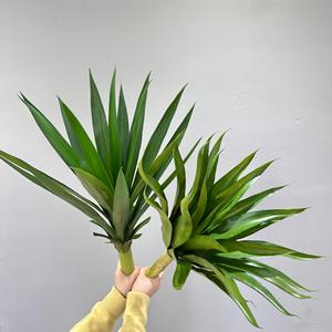 Planta Artificial de Agave Meng Jie, 30cm-100cm, PVC, Plástico Suave, Decoración Interior, Base Verde, Flor de Sisal - Product Image 3