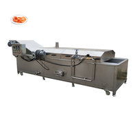 Vegetable Blancher mango Fruit Blanching Machine Blanching Machine for Vegetables