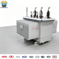 Transformateur de distribution triphasé immergé dans l'huile 10kV à 400V 50kVA-100kVA 60Hz Modèle S13-200