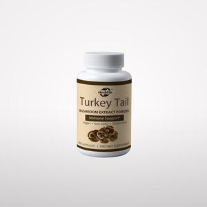 Cápsulas de Hongo Cola de Pavo - Suplemento para la Salud Digestiva y el Apoyo Inmunológico, Suplemento para la Salud, Vegano, Sin OMG, Sin Gluten, OEM ODM - Product Image 1