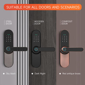 प्रत्यक्ष नए उत्पादों का विनिर्माण स्लिम डिजिटल इलेक्ट्रॉनिक स्मार्ट स्कग डबल साइड स्मार्ट फिंगरप्रिंट डोर लॉक स्मार्ट लॉक - Product Image 3
