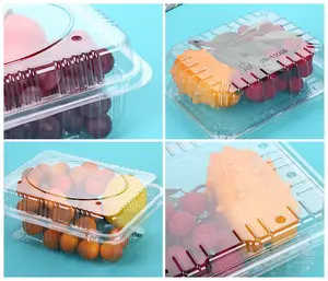 Wadah Cangkang Berengsel Plastik Ramah Lingkungan Sekali Pakai untuk Kotak Segar Supermarket Kemasan Makanan Segar