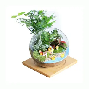 批发透明玻璃圆形玻璃容器，带木质底座/台式玻璃花瓶，用于多汁植物