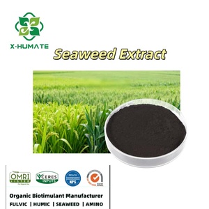 X-humate Biostimulant Organique Ascophyllum Nodosum à base d'extrait d'algues <span class=keywords><strong>pour</strong></span> un ROI élevé - Product Image 1