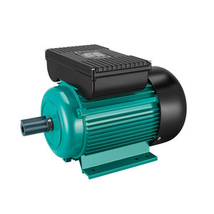 มอเตอร์สั่นสะเทือนเฟสเดียว รุ่น YL ซีรีส์ 220V, ความเร็วรอบสูง มาตรฐาน CE พร้อมคาปาซิเตอร์สองตัว ดีไซน์สองคาปาซิเตอร์ รุ่น YL ซีรีส์  แรงสตาร์ทสูง - Product Image 1