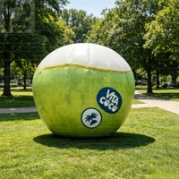 Ballon gonflable géant en forme de coque de noix de coco verte de 3 m avec logo LED personnalisé, idéal pour festivals de musique sur la plage et événements promotionnels.