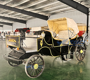 Chariot Royal Électrique Haut de Gamme pour Visites Touristiques – Produits de Qualité Supérieure et Élégants - Product Image 5
