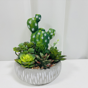 Planta Artificial <span class=keywords><strong>de</strong></span> <span class=keywords><strong>Cactus</strong></span> en Maceta - Decoración <span class=keywords><strong>de</strong></span> Pared Interior Verde <span class=keywords><strong>de</strong></span> Alta Simulación y Duradera para el Día <span class=keywords><strong>de</strong></span> San Valentín y el Día <span class=keywords><strong>de</strong></span> la Madre - Product Image 5
