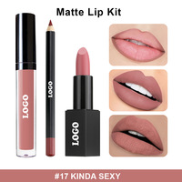 Lilywild Make Your Propre Vegan 3 Pièces Kit de Brillant à Lèvres Mat Emballage en Boîte Oem Luxe Logo Personnalisé Marque Privée Kits de Lèvres avec Doublure