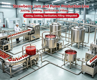 Automatische fruitjam productielijn, machine voor het maken van bosbessen- en aardbeienjam puree