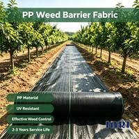 Toile de paillage PP / Tapis anti-poussière et anti-UV pour jardin, couverture de sol pour vergers et plantations de bananes