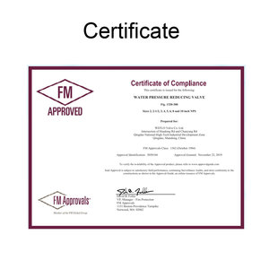Vanne de réduction de pression homologuée UL FM, 300 PSI, à brides, en fonte ductile, pour système de protection incendie, OEM - Product Image 3