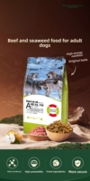 Croquettes saines sans céréales pour chiens adultes de grande taille, au bœuf et aux algues, 20 kg, marque privée OEM, haute teneur en protéines, qualité supérieure