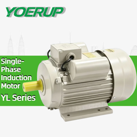 Moteur électrique domestique série YL 1,5 kW 2P 2 pôles 2800 tr/min à induction, monophasé asynchrone à double condensateur