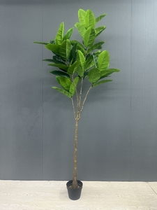 C811 Plante Artificielle Mini Palmier et Plastique Voyageur Basho Fan Plantes Bonsaï pour Décoration Intérieure - Product Image 4