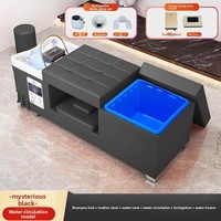 Lit de Traitement Capillaire Commercial en Cuir pour Salons – Sans Plomberie Requise, Lit de Lavage avec Circulation d'Eau, Traitement à la Vapeur, Massage Thaïlandais