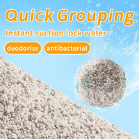 Charbon Actif Biodégradable Écologique Ultra-Absorbant Anti-Odeur 99% Sans Poussière Divers Parfums Litière Agglomérante pour Chat en Bentonite