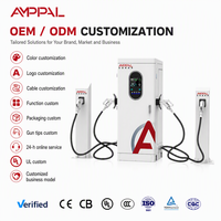 Chargeur DC commercial pour véhicules électriques AMPPAL 160KW 320KW, haute puissance, efficace, sûr, fiable, protection intelligente, multi-emplacements, montage au sol
