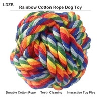 Jouet à mâcher durable en corde de coton arc-en-ciel pour chien, avec nœuds, résistant à la mastication, pour chiots et chiens de petite à moyenne taille, pour le nettoyage des dents